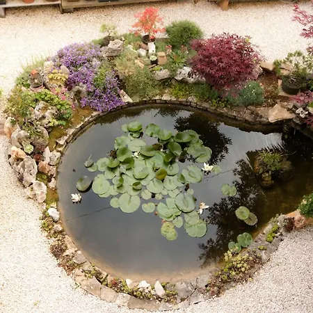 Apartamento Beautiful Garden By Rent Istria